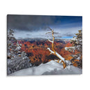 Gran Cañón Nevado Iii - David Drost | Cuadro decorativo de Canvas Lab
