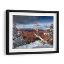 Gran Cañón Nevado Iii - David Drost | Cuadro decorativo de Canvas Lab