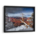 Gran Cañón Nevado Iii - David Drost | Cuadro decorativo de Canvas Lab