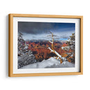 Gran Cañón Nevado Iii - David Drost | Cuadro decorativo de Canvas Lab