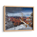 Gran Cañón Nevado Iii - David Drost | Cuadro decorativo de Canvas Lab