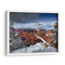 Gran Cañón Nevado Iii - David Drost | Cuadro decorativo de Canvas Lab