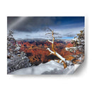 Gran Cañón Nevado Iii - David Drost | Cuadro decorativo de Canvas Lab