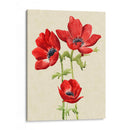 Hearlooor Anemones I I - Grace Popp | Cuadro decorativo de Canvas Lab