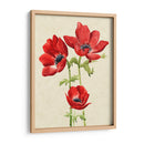 Hearlooor Anemones I I - Grace Popp | Cuadro decorativo de Canvas Lab