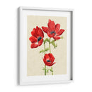 Hearlooor Anemones I I - Grace Popp | Cuadro decorativo de Canvas Lab