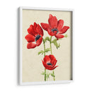Hearlooor Anemones I I - Grace Popp | Cuadro decorativo de Canvas Lab