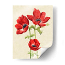 Hearlooor Anemones I I - Grace Popp | Cuadro decorativo de Canvas Lab