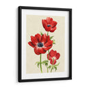 Heirloom Anemones Ii - Grace Popp | Cuadro decorativo de Canvas Lab