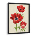 Heirloom Anemones Ii - Grace Popp | Cuadro decorativo de Canvas Lab