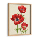 Heirloom Anemones Ii - Grace Popp | Cuadro decorativo de Canvas Lab