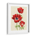 Heirloom Anemones Ii - Grace Popp | Cuadro decorativo de Canvas Lab