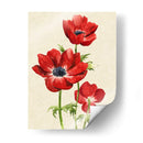 Heirloom Anemones Ii - Grace Popp | Cuadro decorativo de Canvas Lab