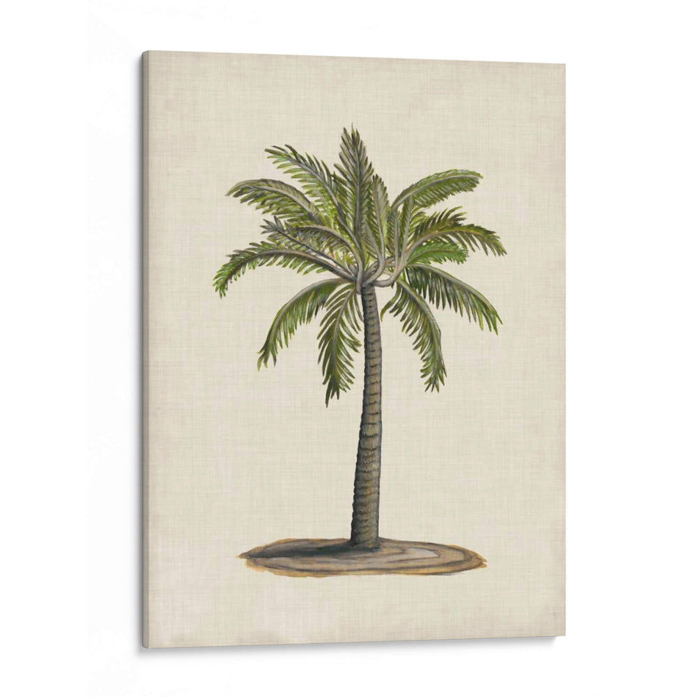 Palmas Británicas I - Naomi McCavitt | Cuadro decorativo de Canvas Lab