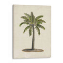 Palmas Británicas I - Naomi McCavitt | Cuadro decorativo de Canvas Lab