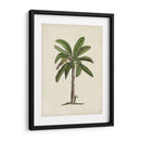 Palms Británica Ii - Naomi McCavitt | Cuadro decorativo de Canvas Lab
