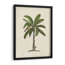 Palms Británica Ii - Naomi McCavitt | Cuadro decorativo de Canvas Lab