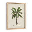 Palms Británica Ii - Naomi McCavitt | Cuadro decorativo de Canvas Lab