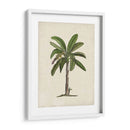 Palms Británica Ii - Naomi McCavitt | Cuadro decorativo de Canvas Lab