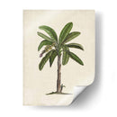 Palms Británica Ii - Naomi McCavitt | Cuadro decorativo de Canvas Lab