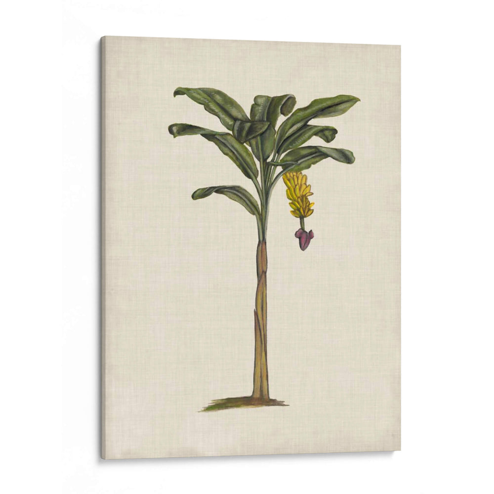 Palms Británica Iii - Naomi McCavitt | Cuadro decorativo de Canvas Lab