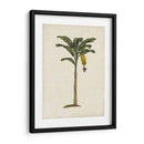 Palms Británica Iii - Naomi McCavitt | Cuadro decorativo de Canvas Lab