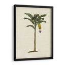 Palms Británica Iii - Naomi McCavitt | Cuadro decorativo de Canvas Lab