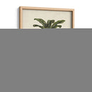 Palms Británica Iii - Naomi McCavitt | Cuadro decorativo de Canvas Lab