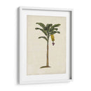 Palms Británica Iii - Naomi McCavitt | Cuadro decorativo de Canvas Lab