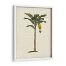 Palms Británica Iii - Naomi McCavitt | Cuadro decorativo de Canvas Lab