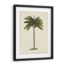 Palms Británicos Iv - Naomi McCavitt | Cuadro decorativo de Canvas Lab