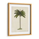 Palms Británicos Iv - Naomi McCavitt | Cuadro decorativo de Canvas Lab