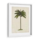Palms Británicos Iv - Naomi McCavitt | Cuadro decorativo de Canvas Lab