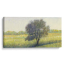 Solo Solo Ii - Tim OToole | Cuadro decorativo de Canvas Lab