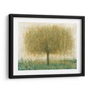 Árbol Del Día De Verano I - Tim OToole | Cuadro decorativo de Canvas Lab