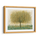 Árbol Del Día De Verano I - Tim OToole | Cuadro decorativo de Canvas Lab