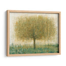 Árbol Del Día De Verano I - Tim OToole | Cuadro decorativo de Canvas Lab