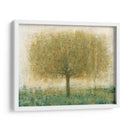 Árbol Del Día De Verano I - Tim OToole | Cuadro decorativo de Canvas Lab