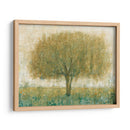 Día De Verano Árbol Ii - Tim OToole | Cuadro decorativo de Canvas Lab