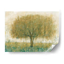 Día De Verano Árbol Ii - Tim OToole | Cuadro decorativo de Canvas Lab