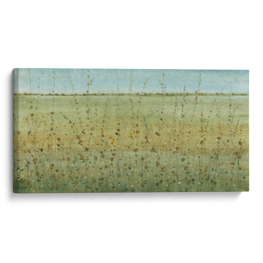 Borde Del Campo I - Tim OToole | Cuadro decorativo de Canvas Lab