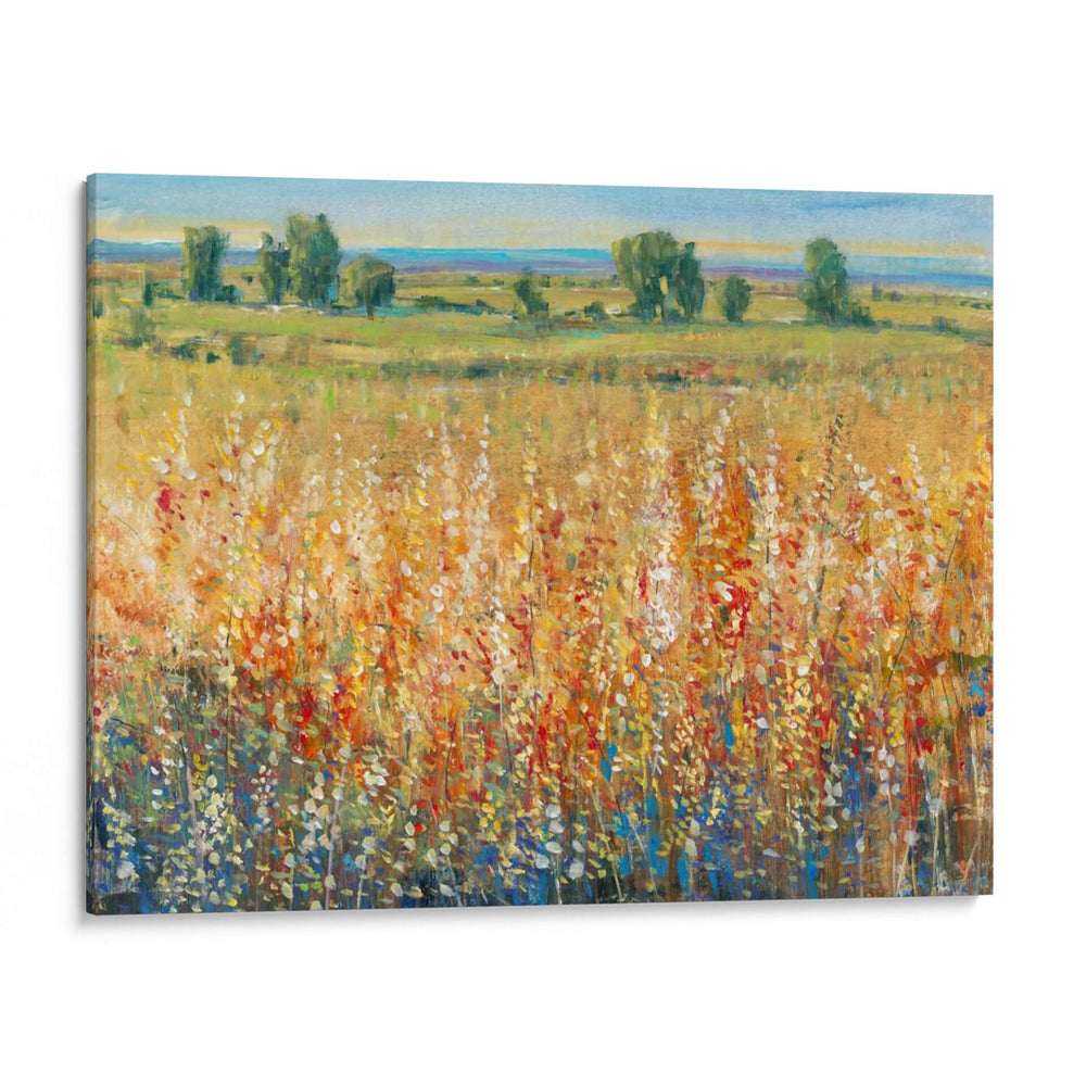 Campo De Oro Y Rojo Ii - Tim OToole | Cuadro decorativo de Canvas Lab