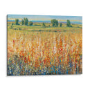 Campo De Oro Y Rojo Ii - Tim OToole | Cuadro decorativo de Canvas Lab