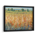 Campo De Oro Y Rojo Ii - Tim OToole | Cuadro decorativo de Canvas Lab