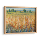 Campo De Oro Y Rojo Ii - Tim OToole | Cuadro decorativo de Canvas Lab