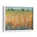 Campo De Oro Y Rojo Ii - Tim OToole | Cuadro decorativo de Canvas Lab