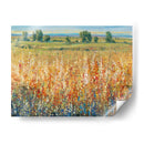 Campo De Oro Y Rojo Ii - Tim OToole | Cuadro decorativo de Canvas Lab