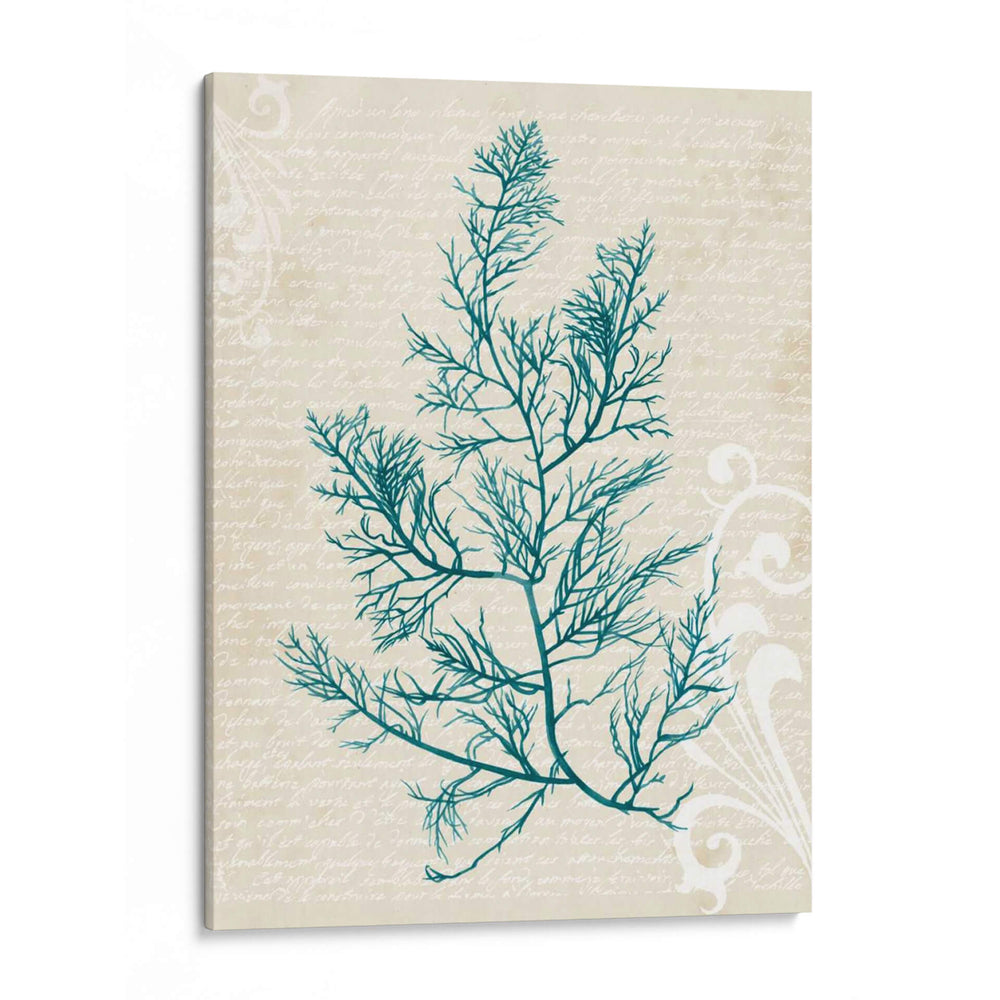 Alga Teal I - Grace Popp | Cuadro decorativo de Canvas Lab