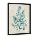 Alga Teal I - Grace Popp | Cuadro decorativo de Canvas Lab