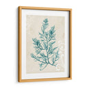 Alga Teal I - Grace Popp | Cuadro decorativo de Canvas Lab